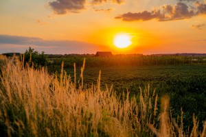 Are you a woman that needs to take a break from the farm?